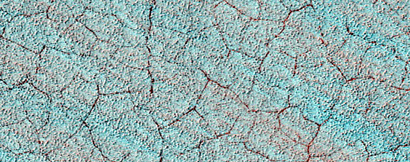 Perennial Ice Monitoring