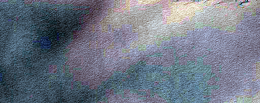Dune Field