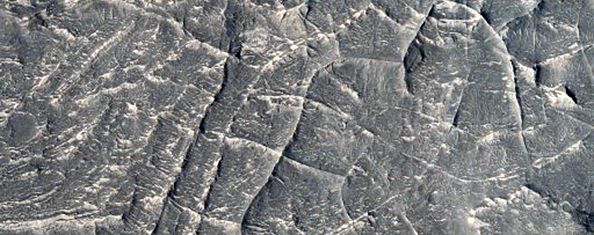 Ridges in Nepenthes Mensae