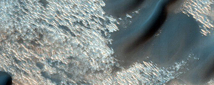 Dune Field