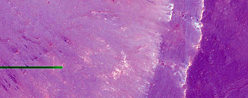 Monitoring Recent Impact Crater