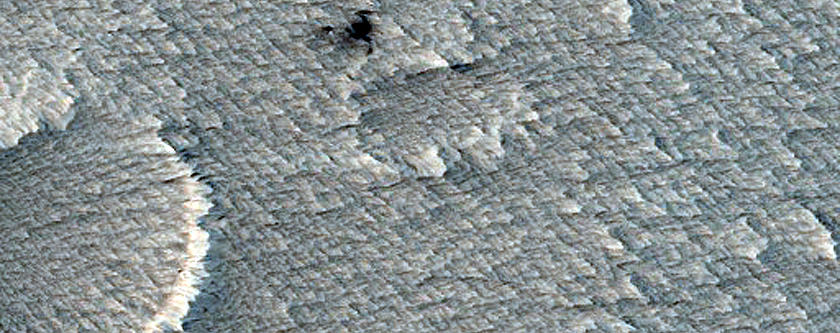 Candidate Recent Impact Site