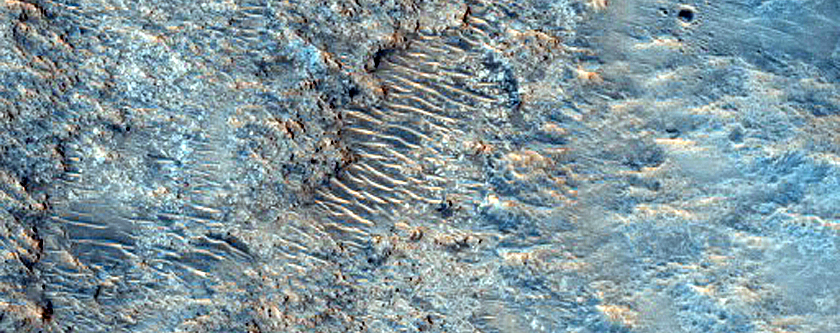 Phyllosilicates in Libya Montes