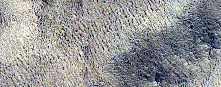 Candidate Recent Impact Site