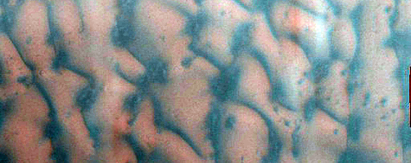 Dune Monitoring in Lomonosov Crater