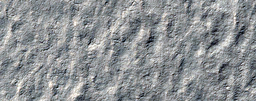 Search for Mars Polar Lander