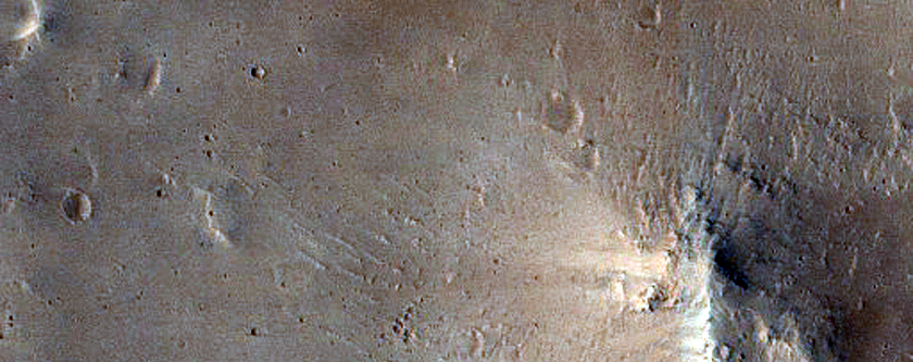 Cerberus Palus Crater