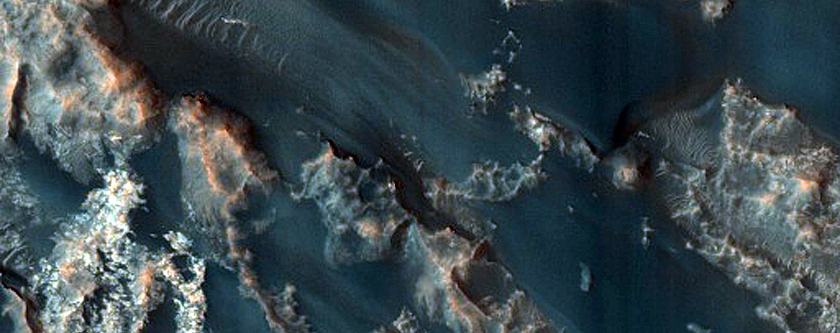 Dune Field