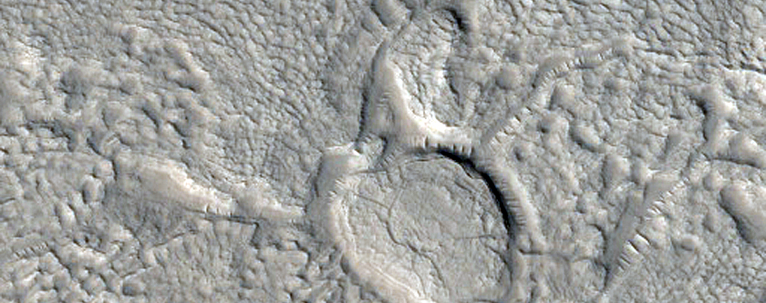 Irregular Cellular Structures around Crater in Arabia Terra