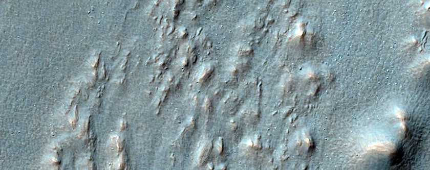 Large Viscous Flow Feature in Nereidum Montes