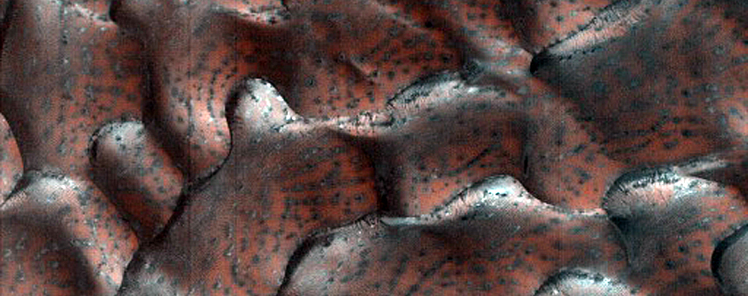 Dune Monitoring in Crater