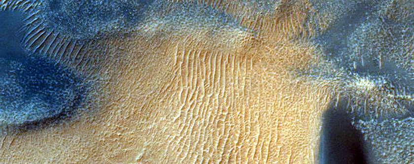 Dune Survey