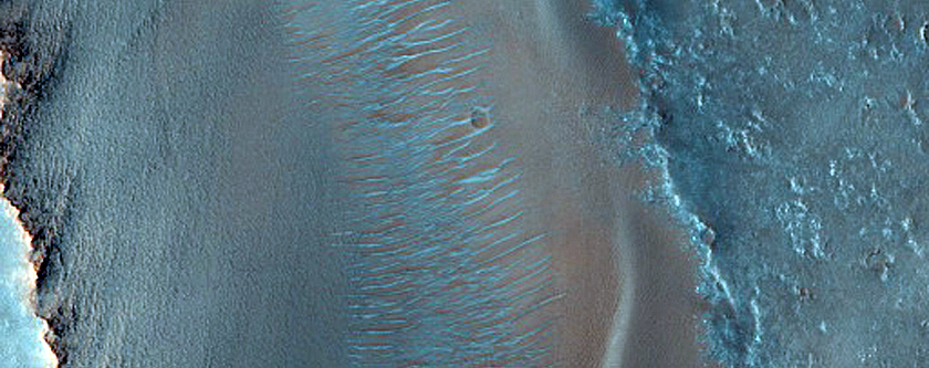Dune Survey
