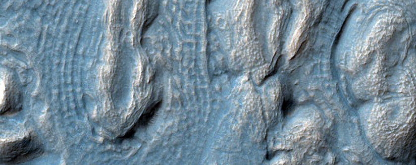 Irregular Cellular Structures around Crater in Southern Mid-Latitudes