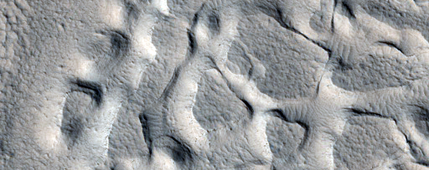 Irregular Cellular Structures around Crater in Arabia Terra