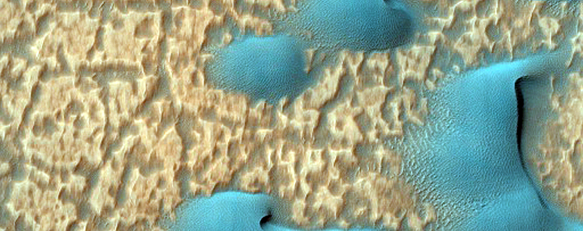 Dune Survey