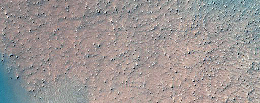 Dune Survey