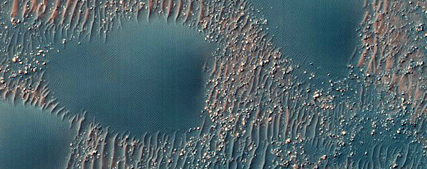 Dune Survey