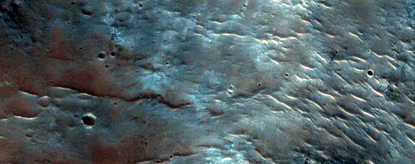 Dune Survey