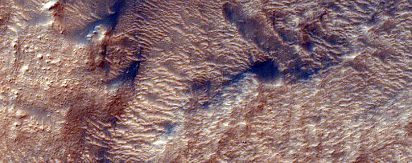 Dune Survey