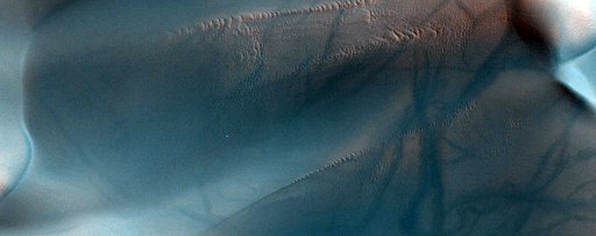 Dune Monitoring in Moreux Crater