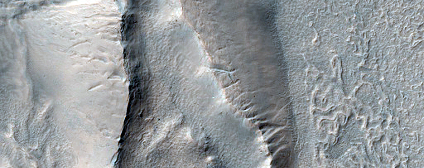 Irregular Cellular Structures around Crater in Southern Mid-Latitudes