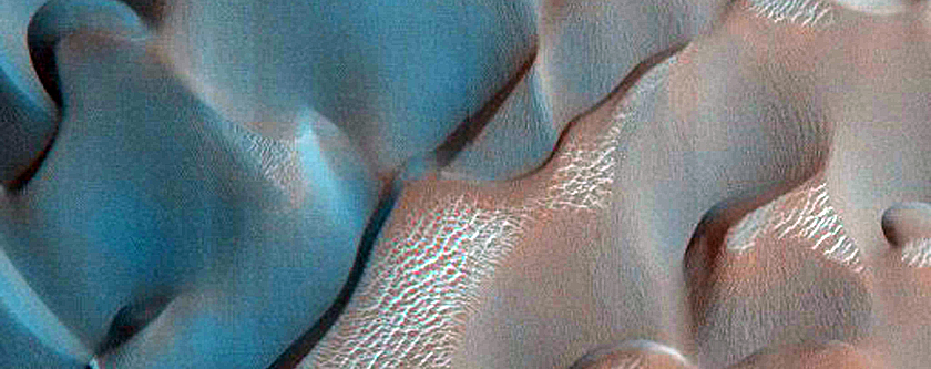 Dune Survey