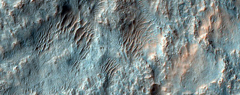 Phyllosilicate-Rich Crater Ejecta in Terra Cimmeria