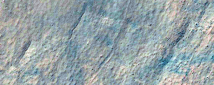 Gully Monitoring