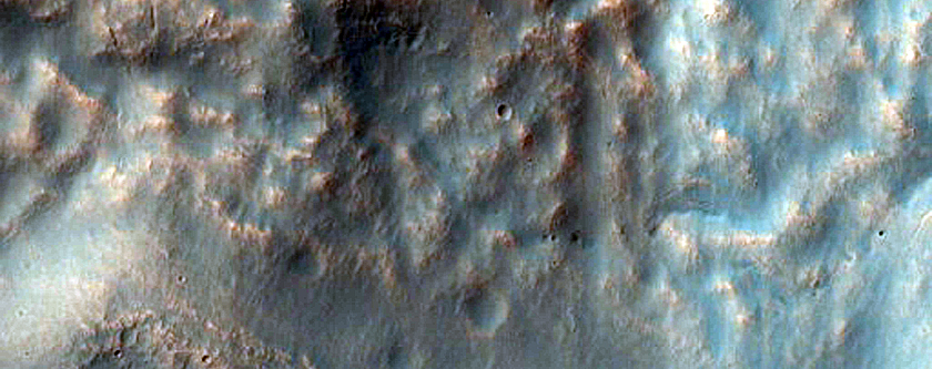 Gullies in Crater in Terra Sirenum