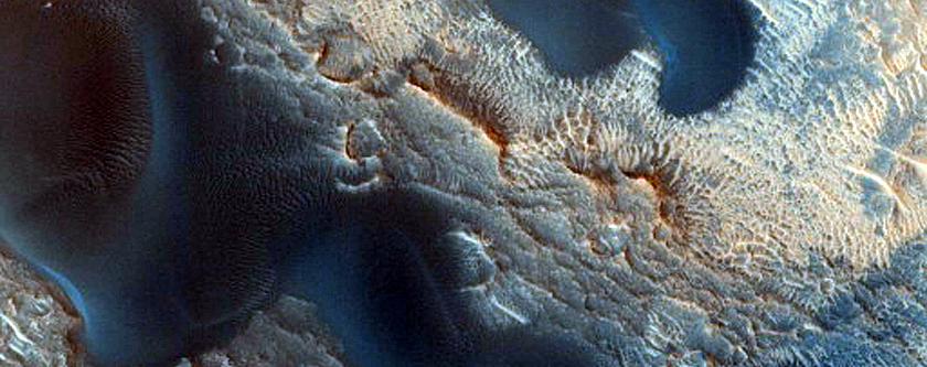 Dune Survey