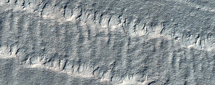 Monitoring New Impact Site