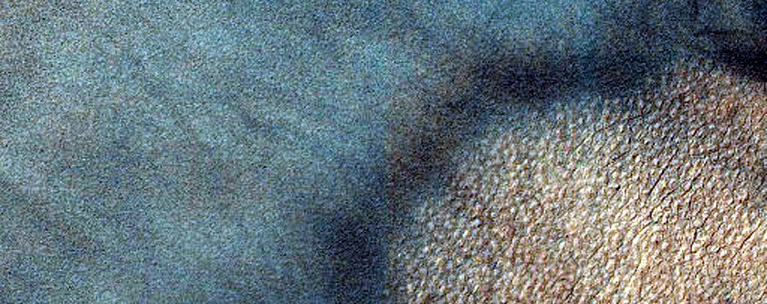 Dune Survey
