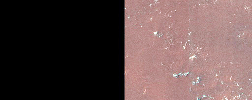 Dune Survey