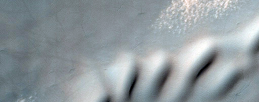 Dune Survey