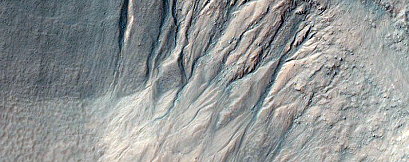 Gully Monitoring