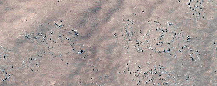 Dune Field