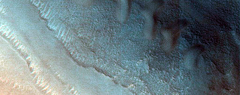 Dune Survey