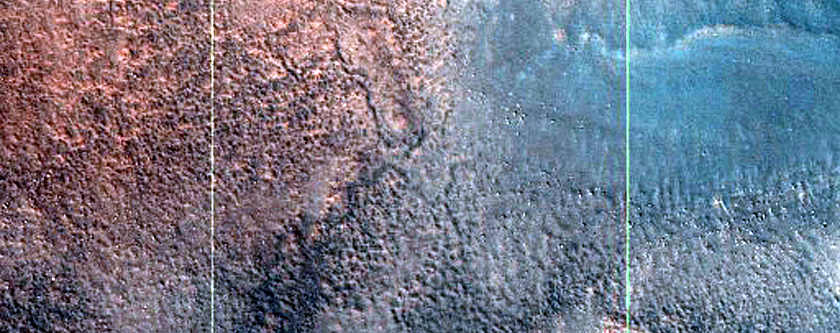 Dune Survey