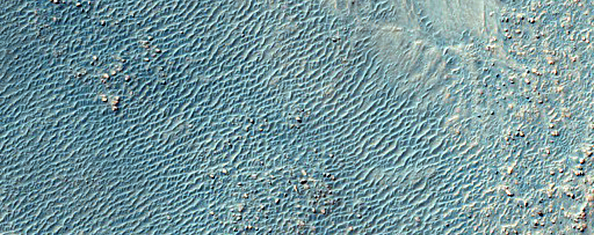 Nereidum Montes