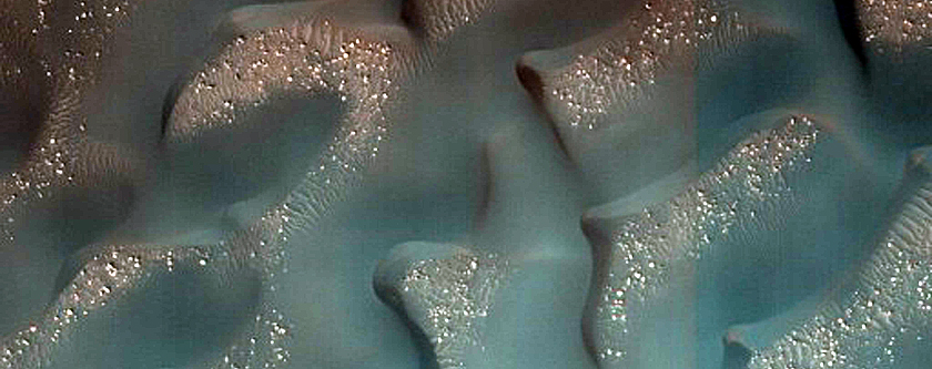 Dune Survey