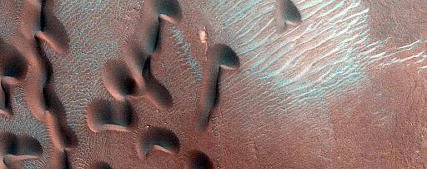 Dune Monitoring in Crater