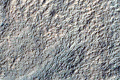 Monitor Gully Activity in Corozal Crater