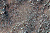 Albedo Monitoring in Solis Planum
