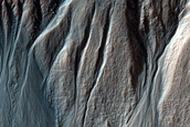 Fresh-Looking Gullies