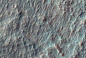 Possible Chloride-Rich Terrain in West of Eridania Planitia