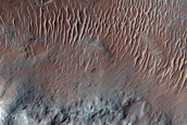 Crater Northeast of Hellas Planitia