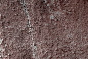 Monitoring Linear Gully Defrosting near Chalcoporos Rupes