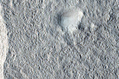 Possible Collapsed Pingos in Utopia Planitia