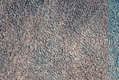 Acidalia Planitia Terrain